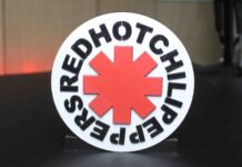 Ex-Red Hot Chili Peppers Guitarist Faces Homelessness